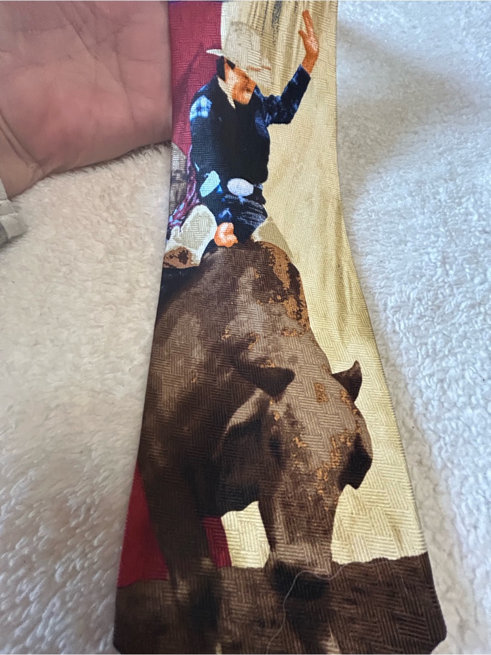 🎁3 for $30 - Novelty Bull Rider Necktie
